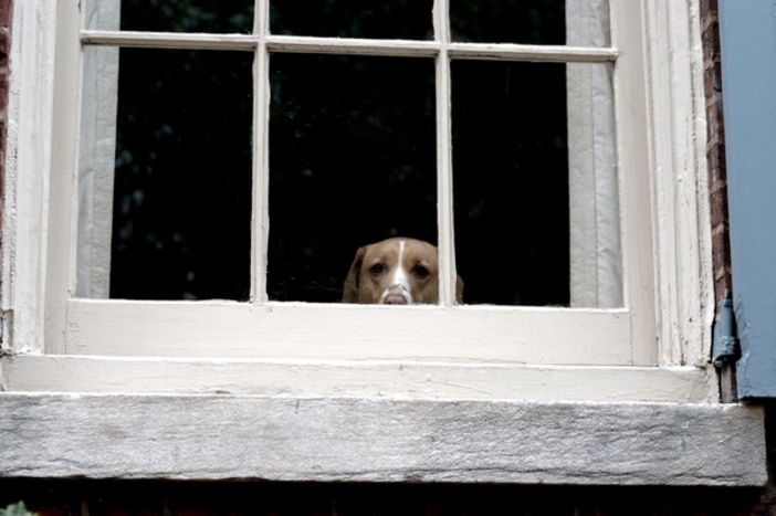 I'm Watching You I'm Watching You