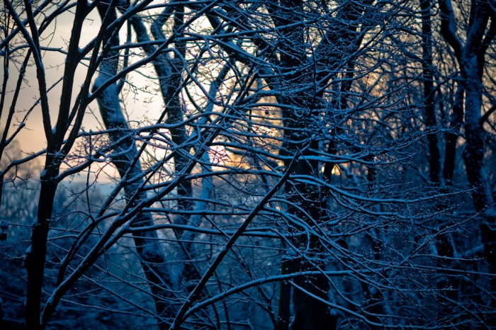 Snowy Sunrise Over Wyncote